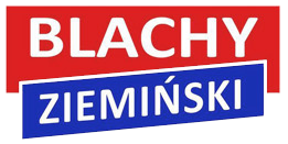 Logo BlachyZieminski.pl